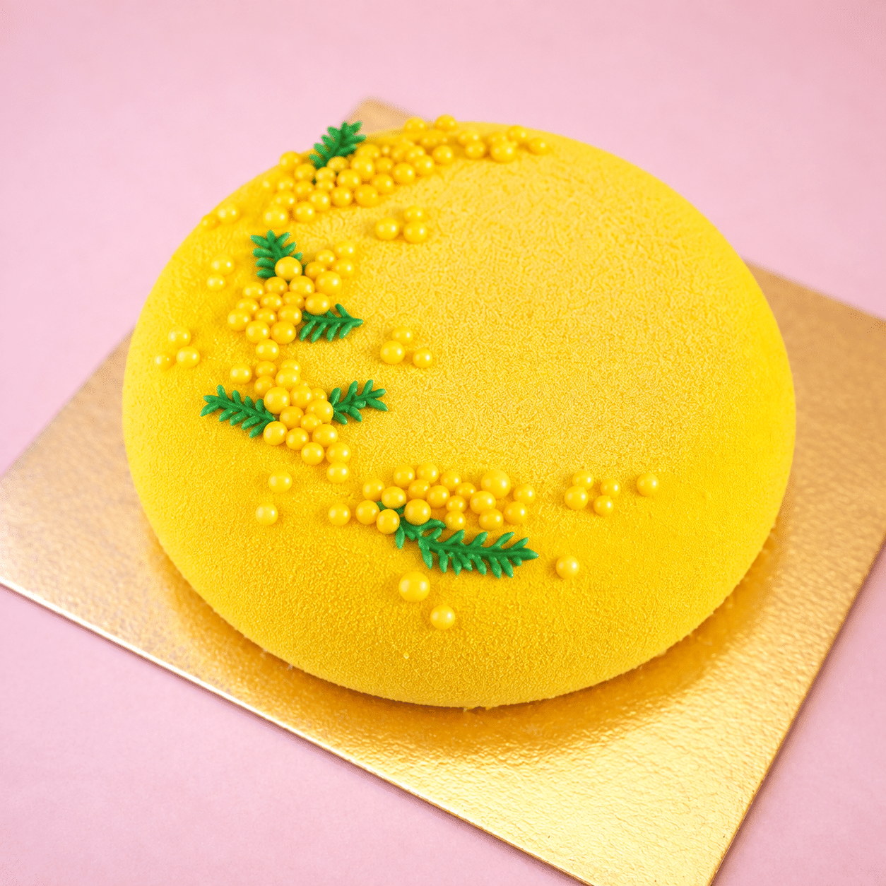 Mimosa moderna