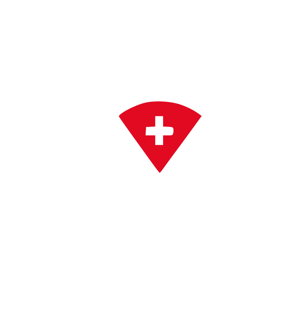 braceria-elvetica-bistrot-logo