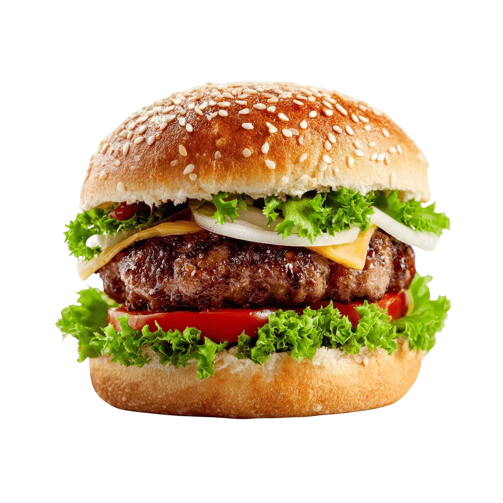 spaghetti-gastro-group-braceria-elvetica-bistrot-fox-town-hamburger