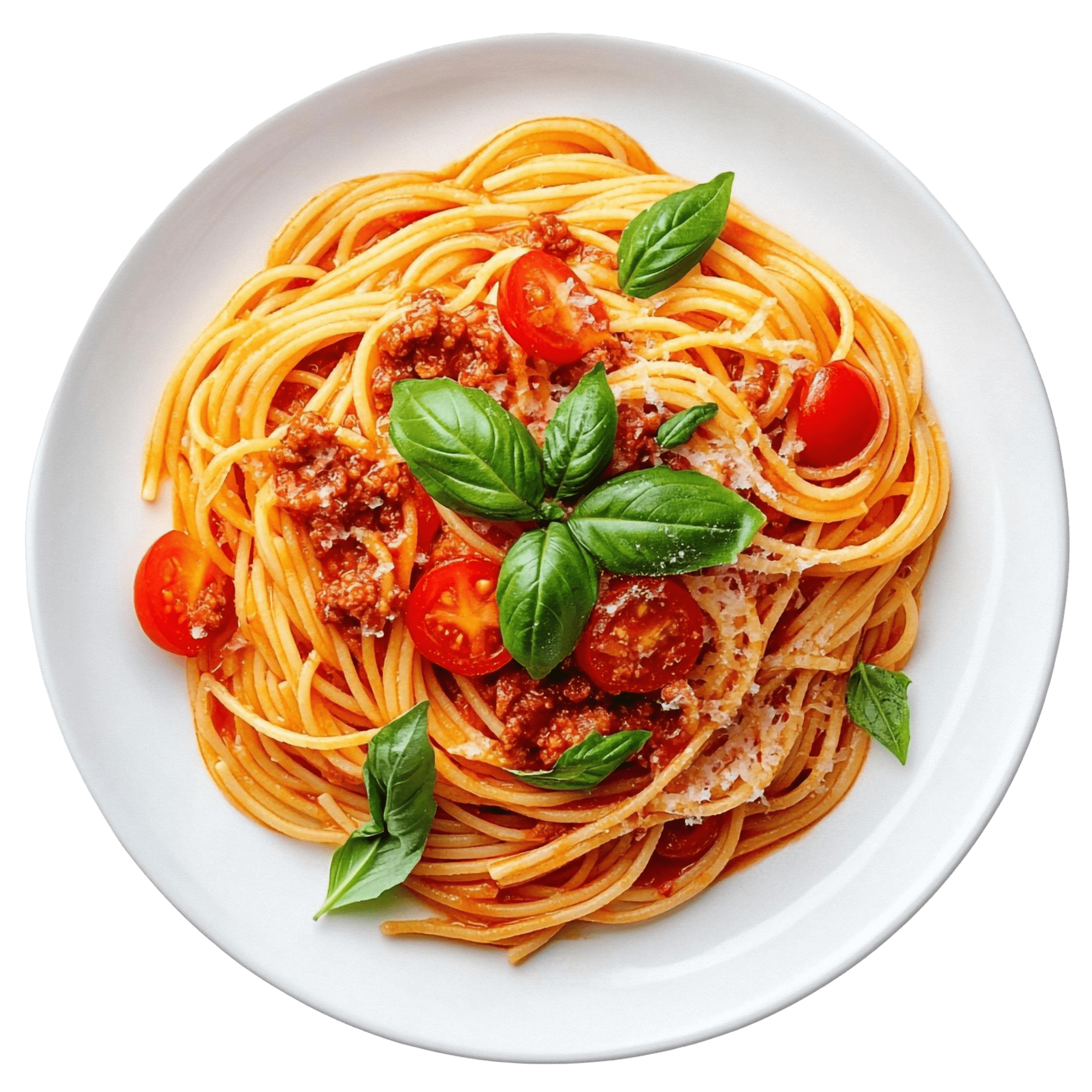 spaghetti-gastro-group-spaghetti-store-fox-town-spaghetti